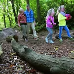 De Groene Heuvels Vakantiepark