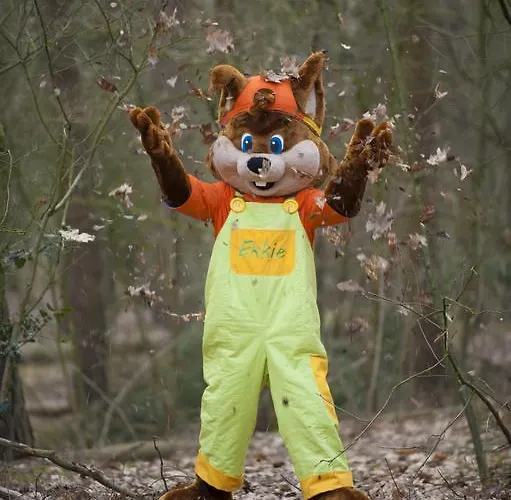 假日公园 De Groene Heuvels Ewijk